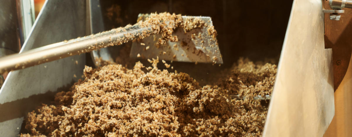 malting-process